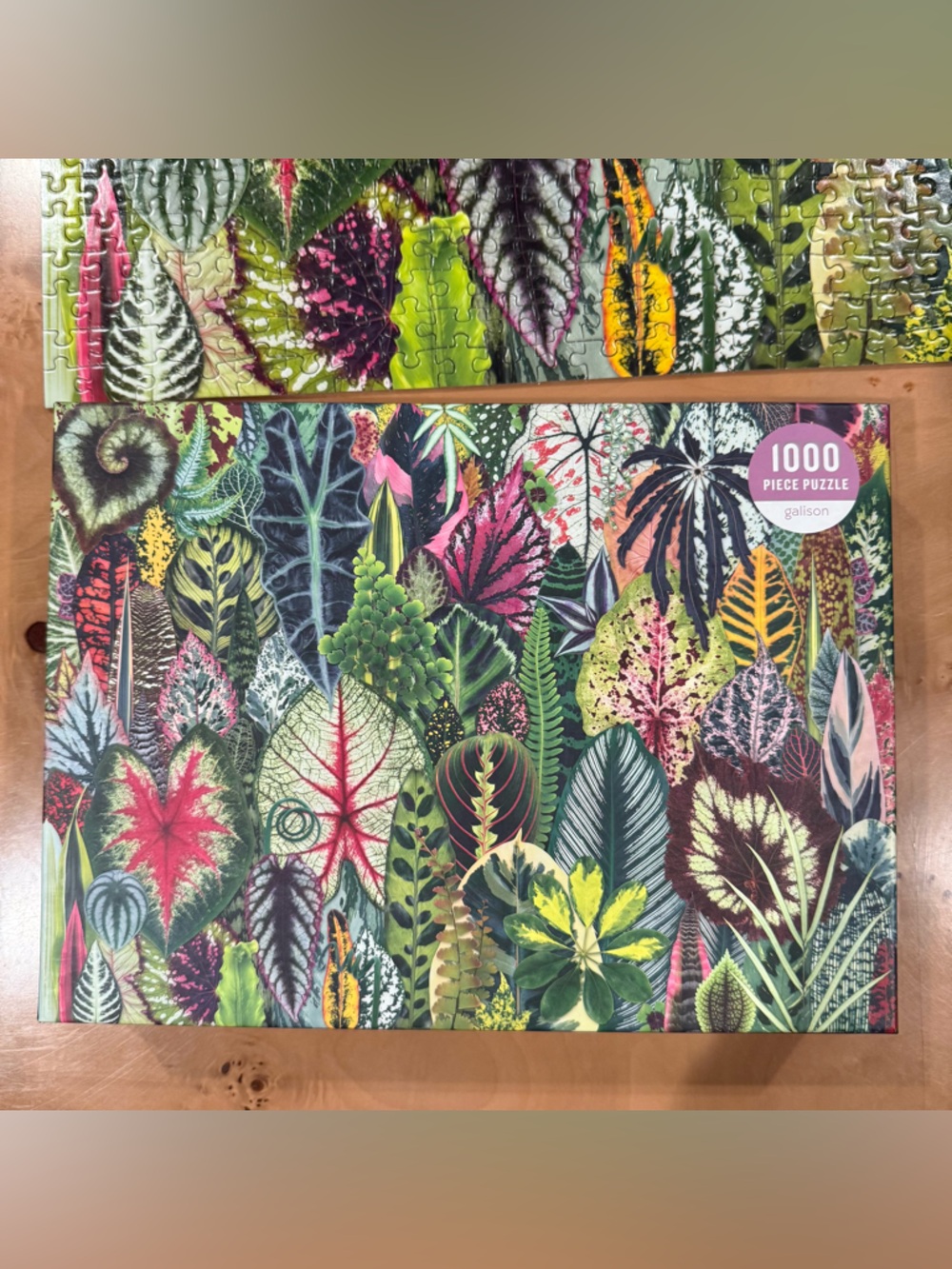 Botanical Leaf 1000-Piece Puzzle - Picture 4 of 5
